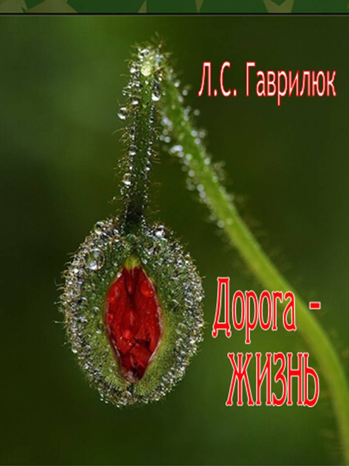 дор.jpg