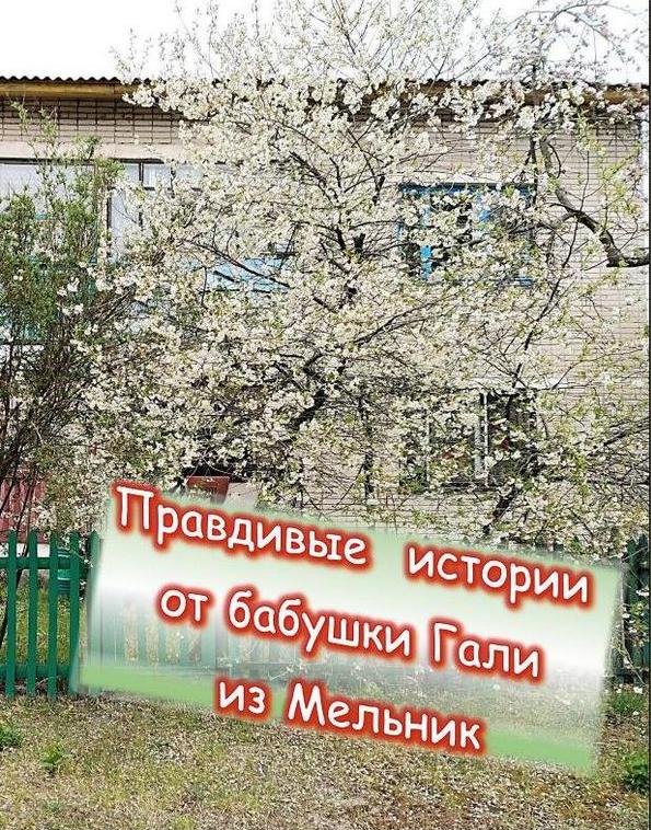 мельн.jpg мельн.jpg