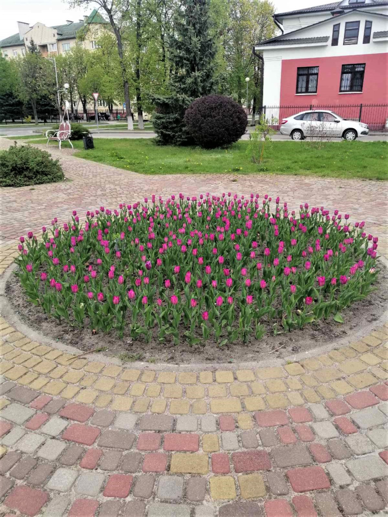 изображение_viber_2024-04-12_15-44-56-530.jpg изображение_viber_2024-04-12_15-44-56-530.jpg
