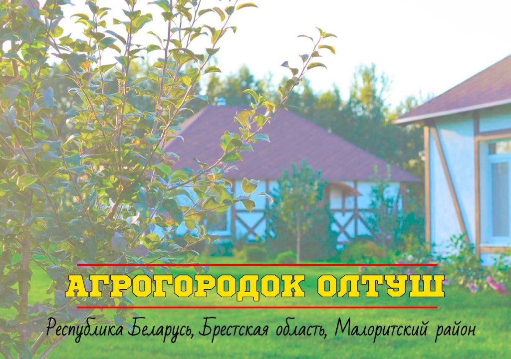 Снимок.JPG
